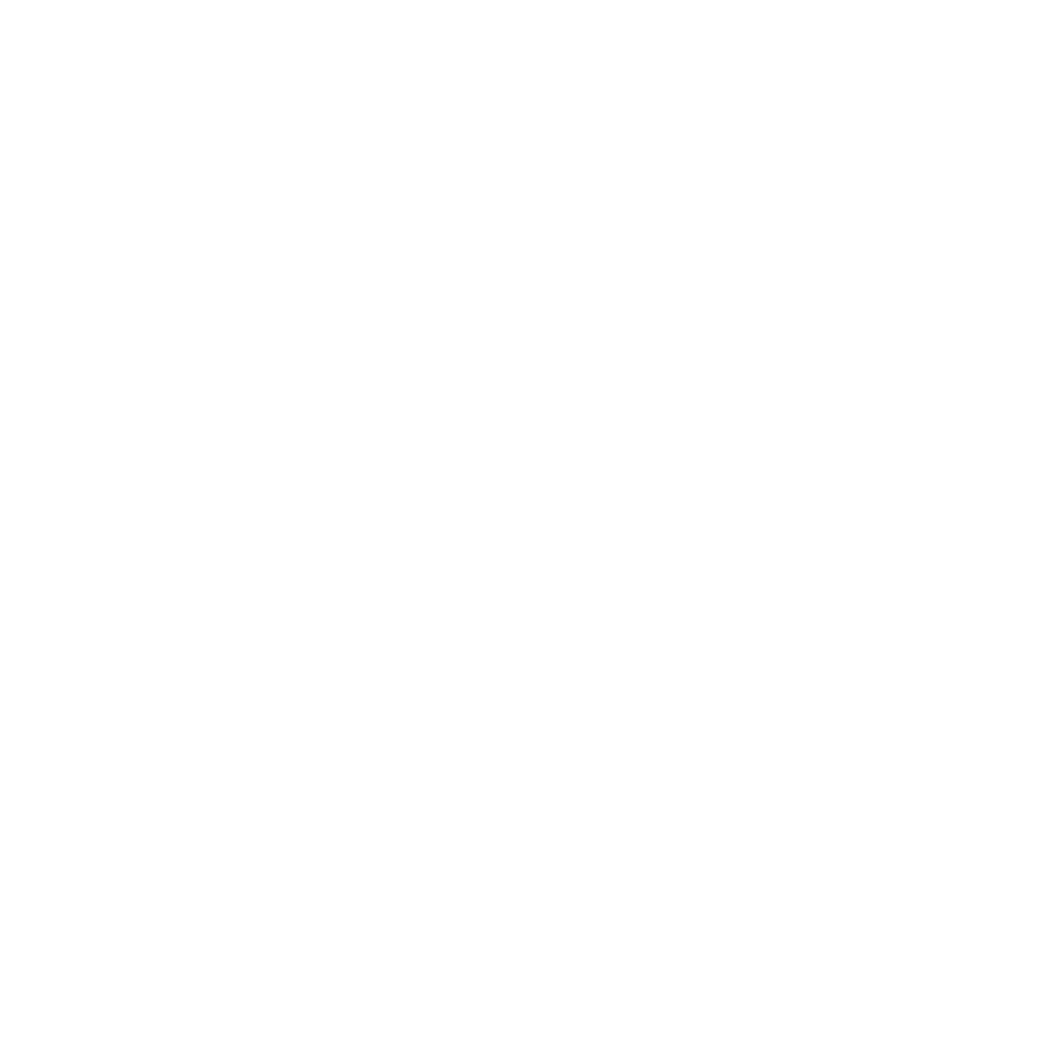 Cub Scouts
